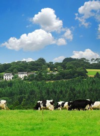 Bretagne Brittany http://www.properties-brittany.com/